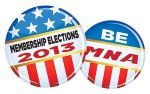Election-icon-2013-LR
